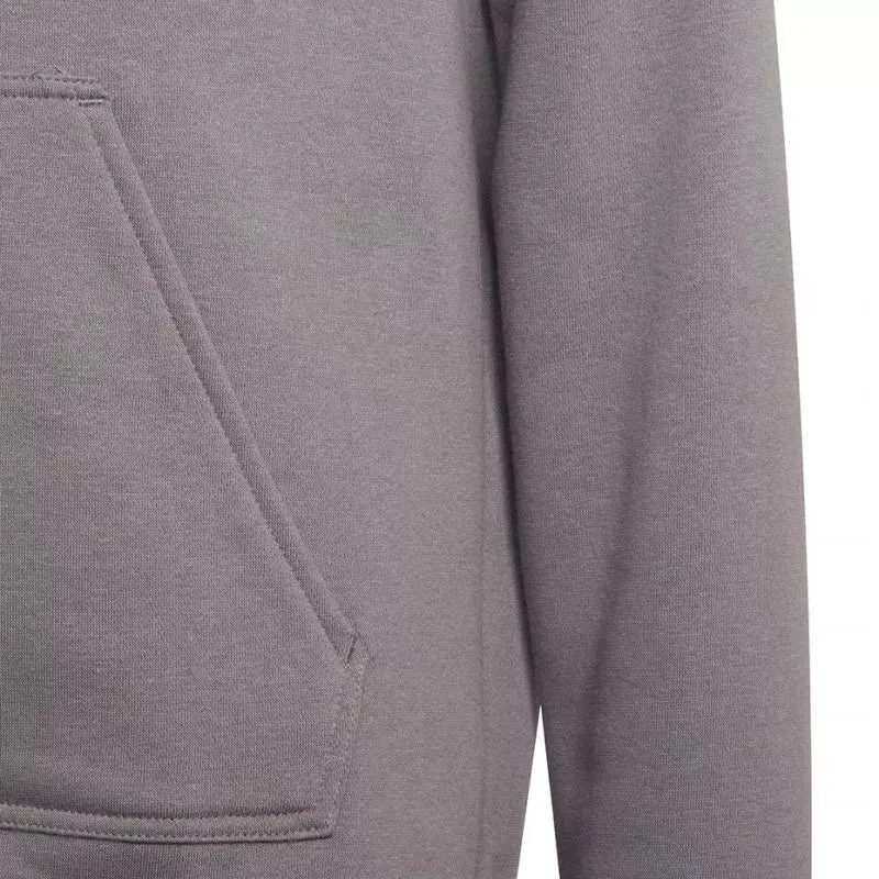 Adidas Entrada 22 Hoody Jr Džemperis H57515