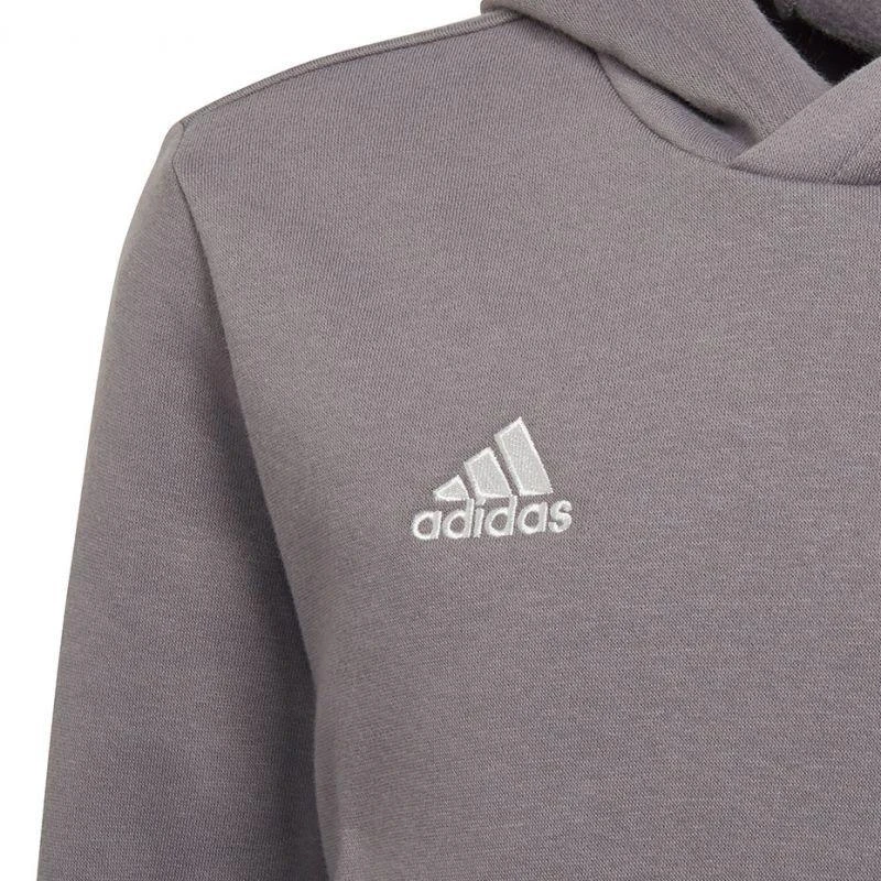 Adidas Entrada 22 Hoody Jr Džemperis H57515
