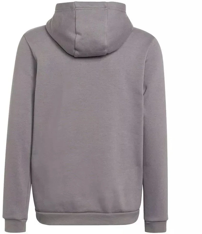 Adidas Entrada 22 Hoody Jr Džemperis H57515