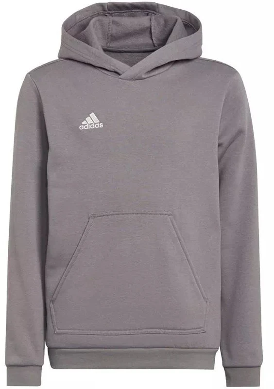 Adidas Entrada 22 Hoody Jr Džemperis H57515