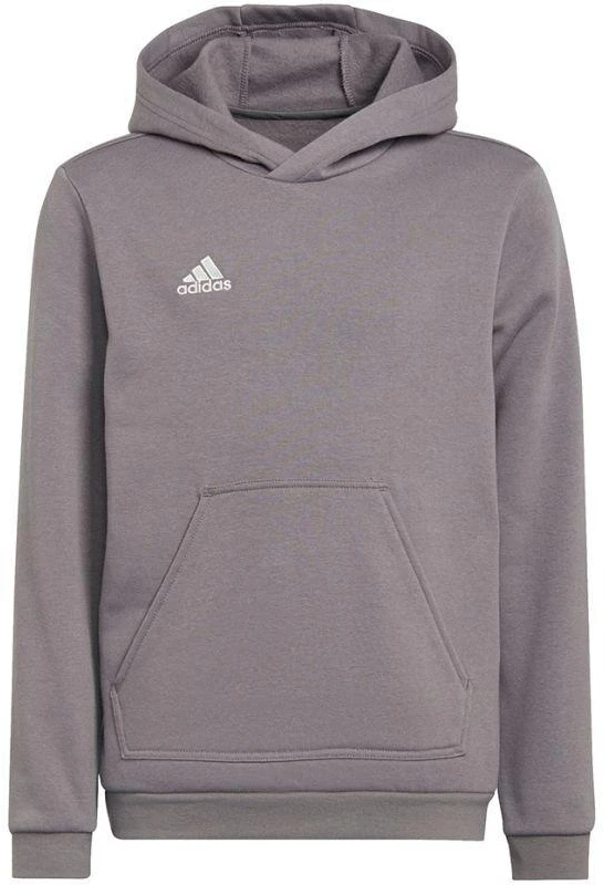Adidas Entrada 22 Hoody Jr Džemperis H57515