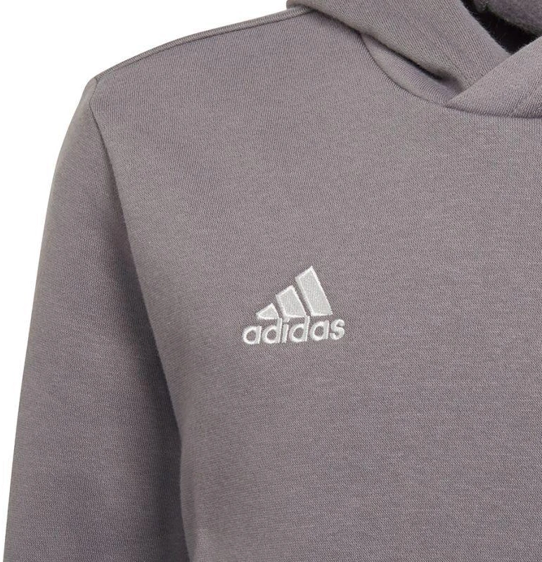 Adidas Entrada 22 Hoody Jr Džemperis H57515