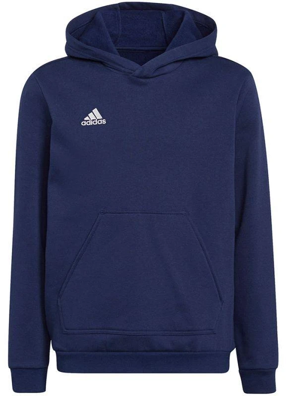 Adidas Entrada 22 Hoody Jr Džemperis H57517