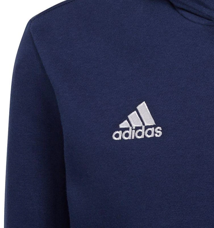 Adidas Entrada 22 Hoody Jr Džemperis H57517