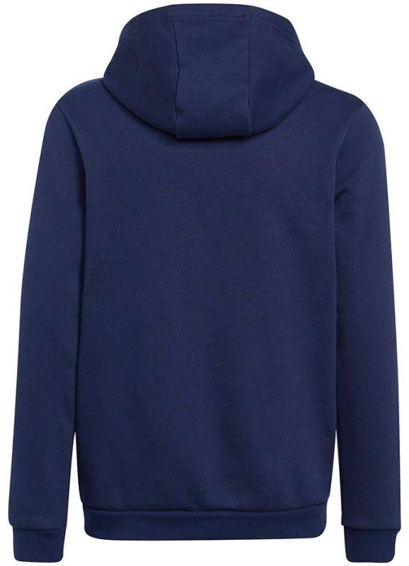 Adidas Entrada 22 Hoody Jr Džemperis H57517