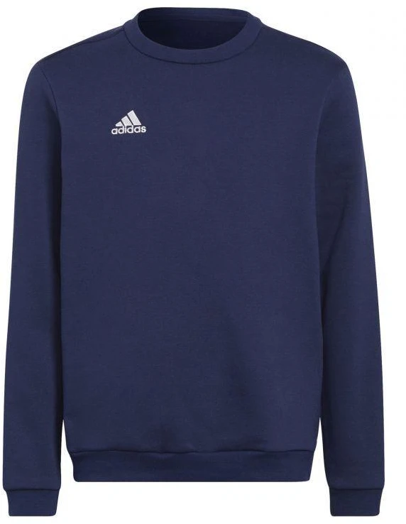 Adidas Entrada 22 Hoody Jr Džemperis H57568