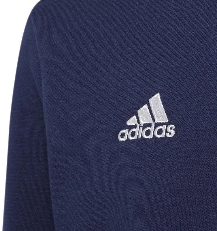Adidas Entrada 22 Hoody Jr Džemperis H57568