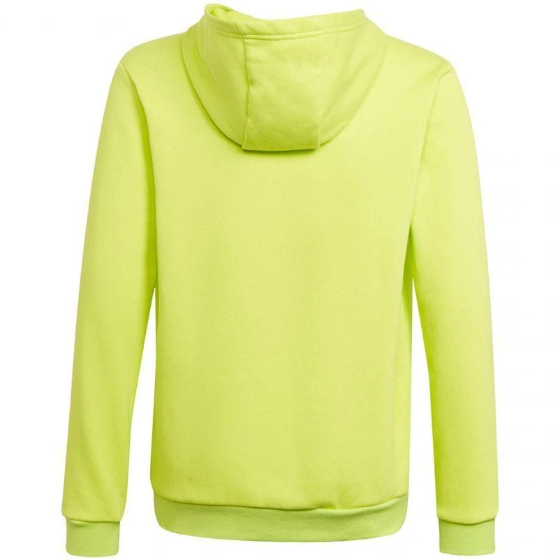 Adidas Entrada 22 Hoody Jr HC5069 džemperis