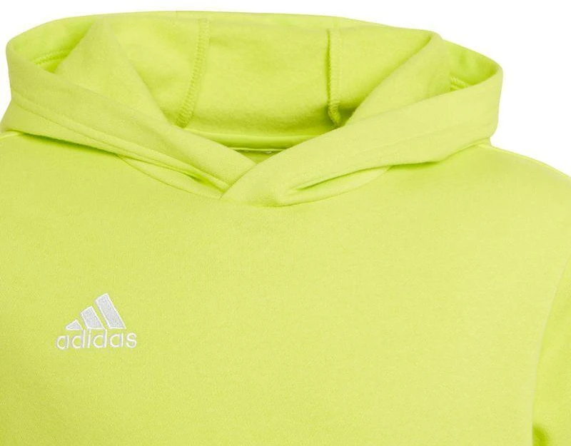 Adidas Entrada 22 Hoody Jr HC5069 džemperis