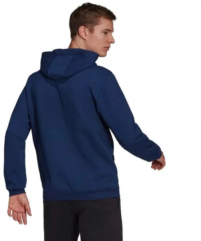 Adidas Entrada 22 Hoody M H57513 džemperis