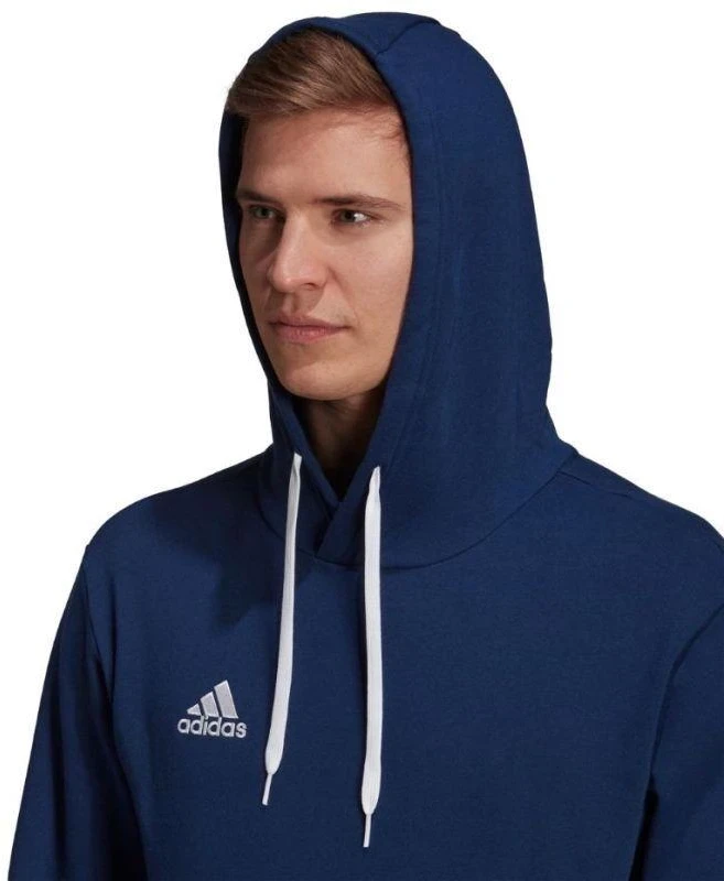 Adidas Entrada 22 Hoody M H57513 džemperis