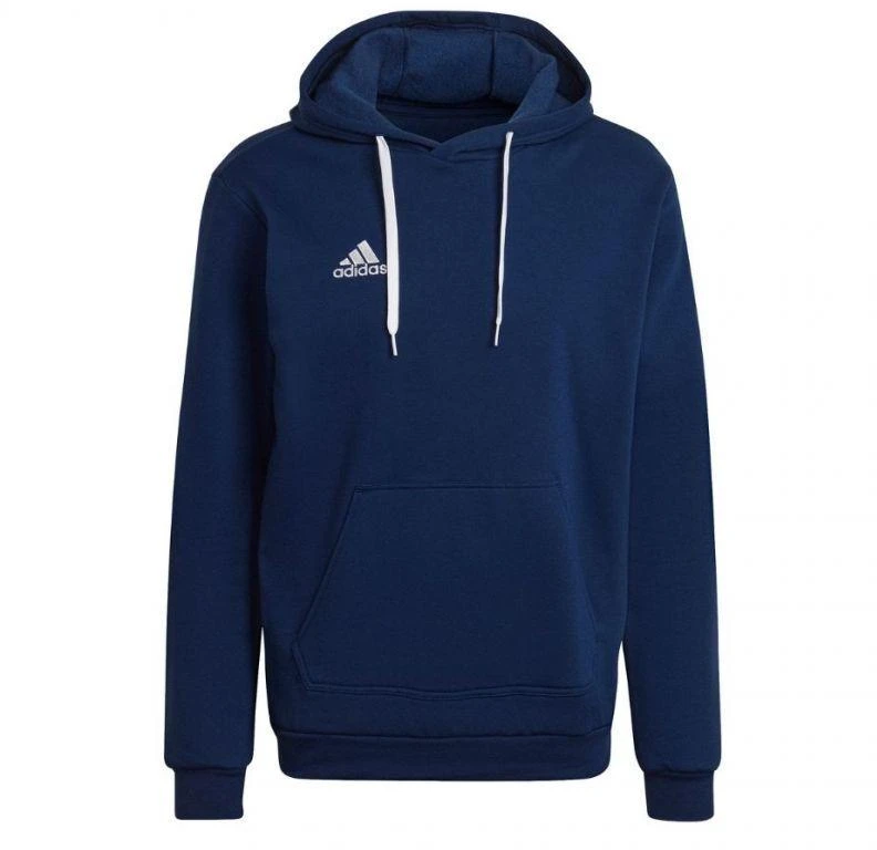 Adidas Entrada 22 Hoody M H57513 džemperis