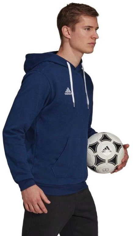 Adidas Entrada 22 Hoody M H57513 džemperis