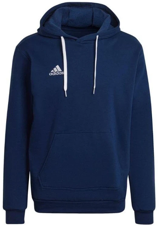 Adidas Entrada 22 Hoody M H57513 džemperis