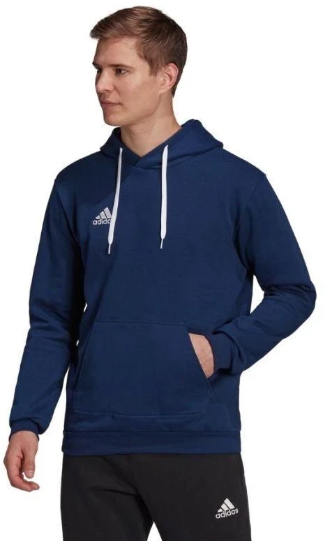 Adidas Entrada 22 Hoody M H57513 džemperis