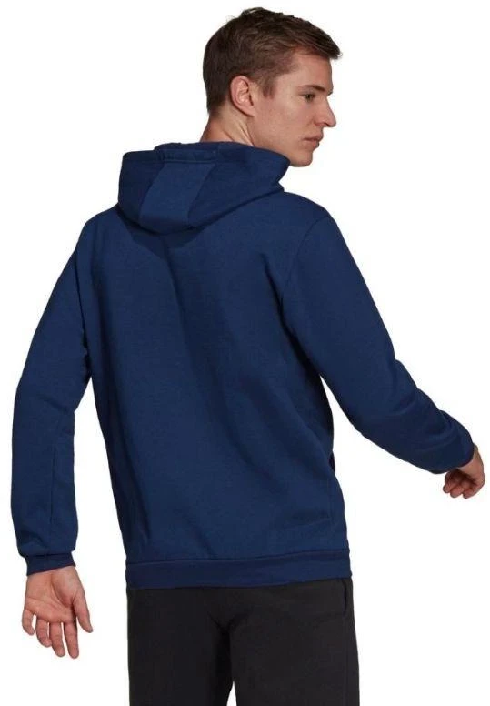 Adidas Entrada 22 Hoody M H57513 džemperis