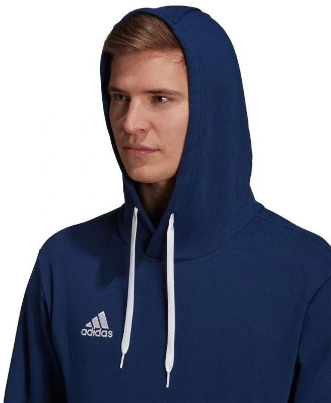 Adidas Entrada 22 Hoody M H57513 džemperis