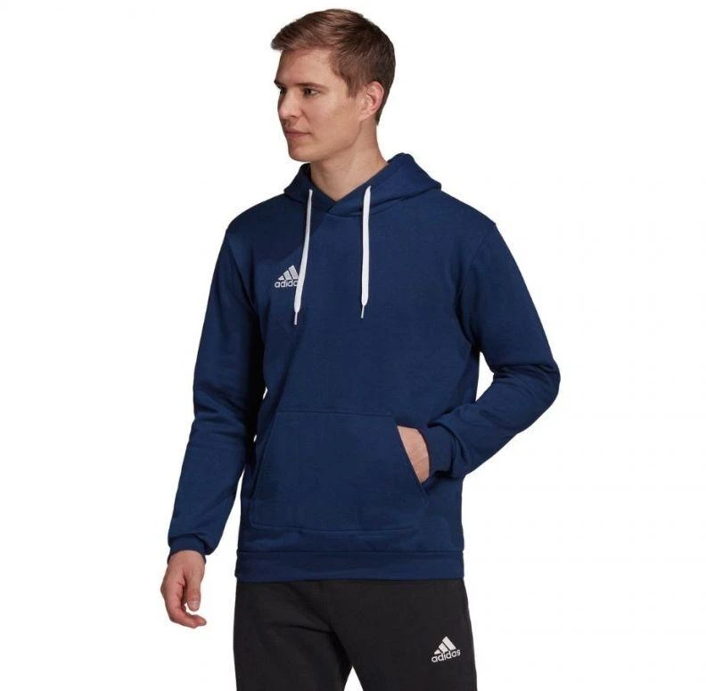 Adidas Entrada 22 Hoody M H57513 džemperis
