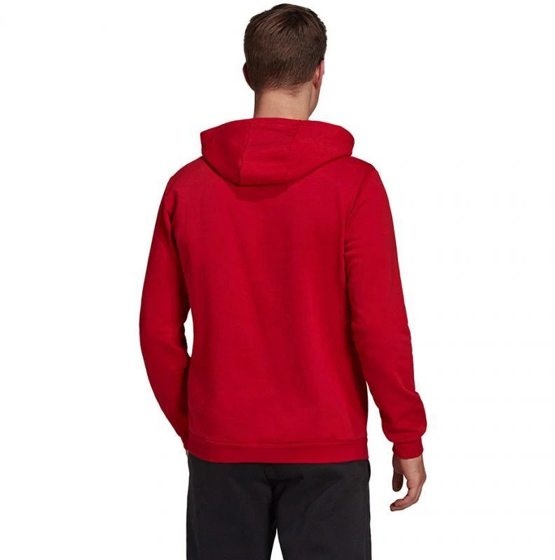 Adidas Entrada 22 Hoody M H57514 džemperis
