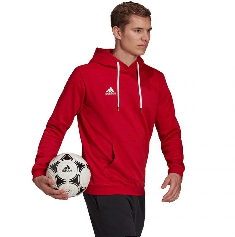 Adidas Entrada 22 Hoody M H57514 džemperis