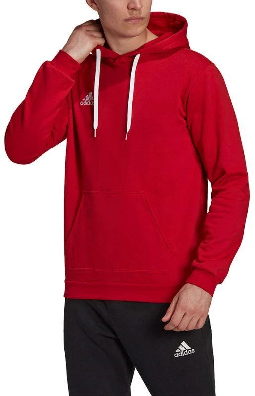 Adidas Entrada 22 Hoody M H57514 džemperis