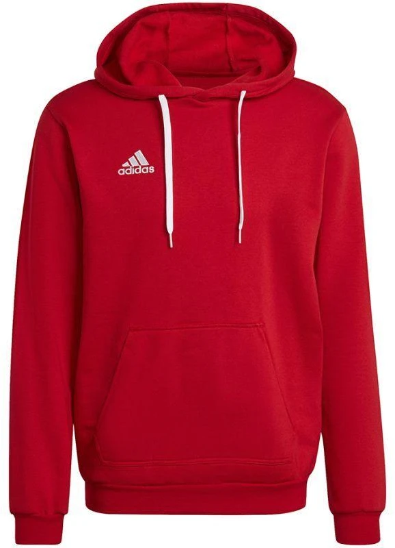 Adidas Entrada 22 Hoody M H57514 džemperis