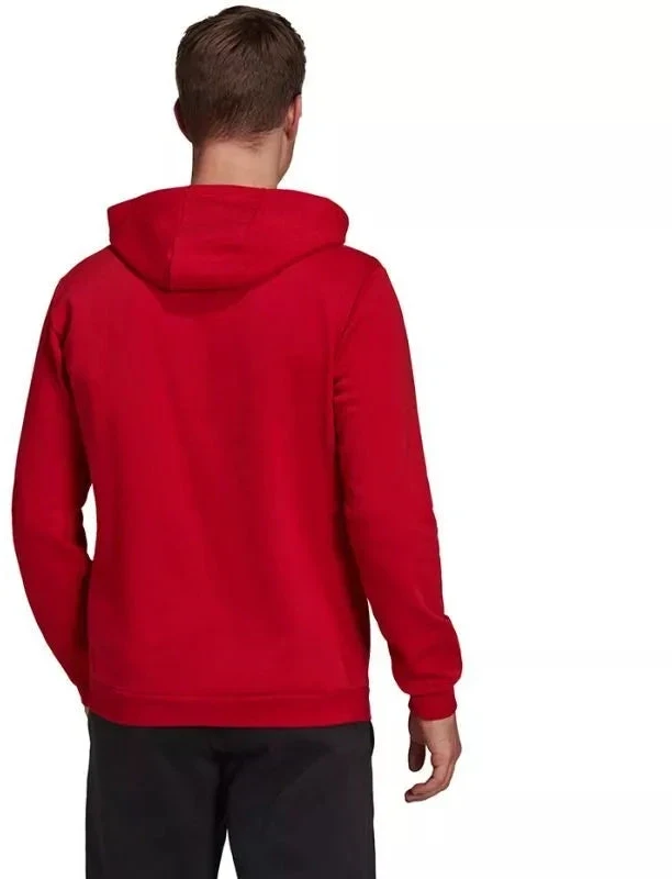 Adidas Entrada 22 Hoody M H57514 džemperis