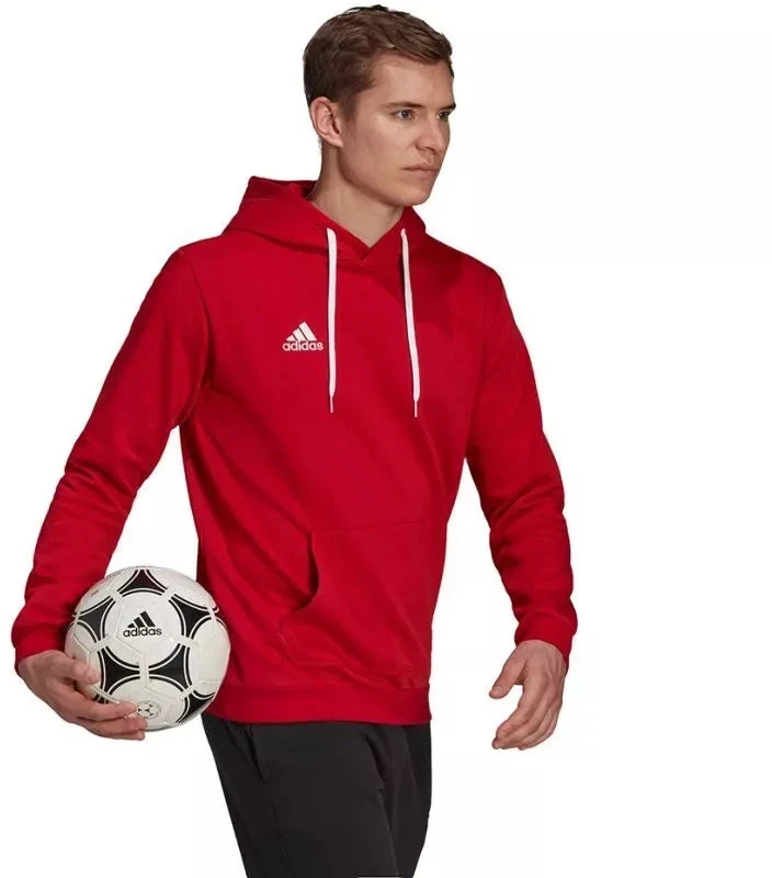 Adidas Entrada 22 Hoody M H57514 džemperis