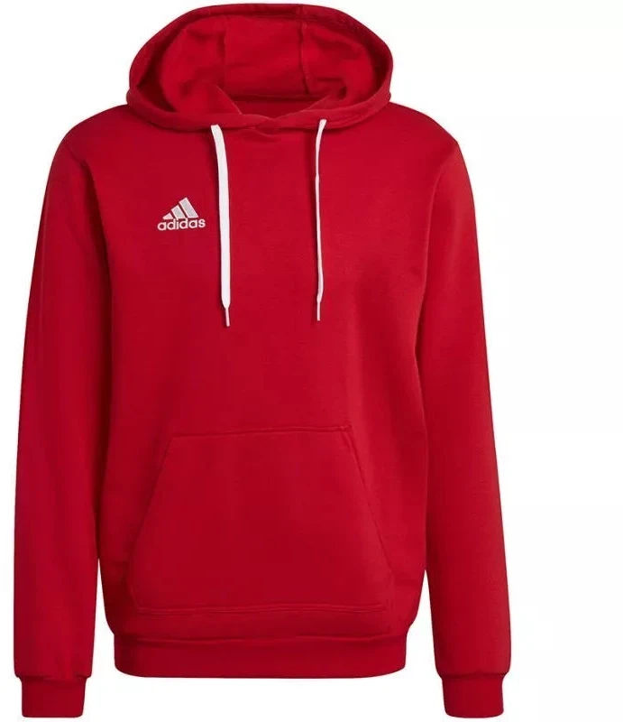Adidas Entrada 22 Hoody M H57514 džemperis