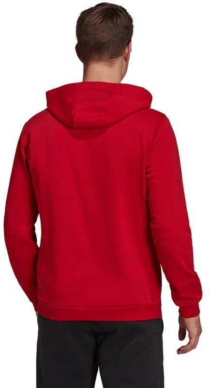 Adidas Entrada 22 Hoody M H57514 džemperis