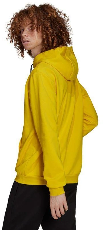 Adidas Entrada 22 Hoody M HI2140 džemperis