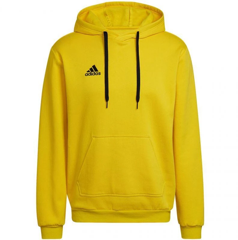 Adidas Entrada 22 Hoody M HI2140 džemperis