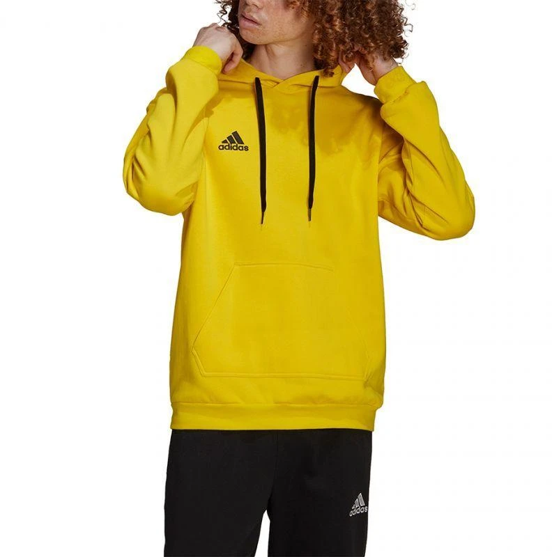 Adidas Entrada 22 Hoody M HI2140 džemperis