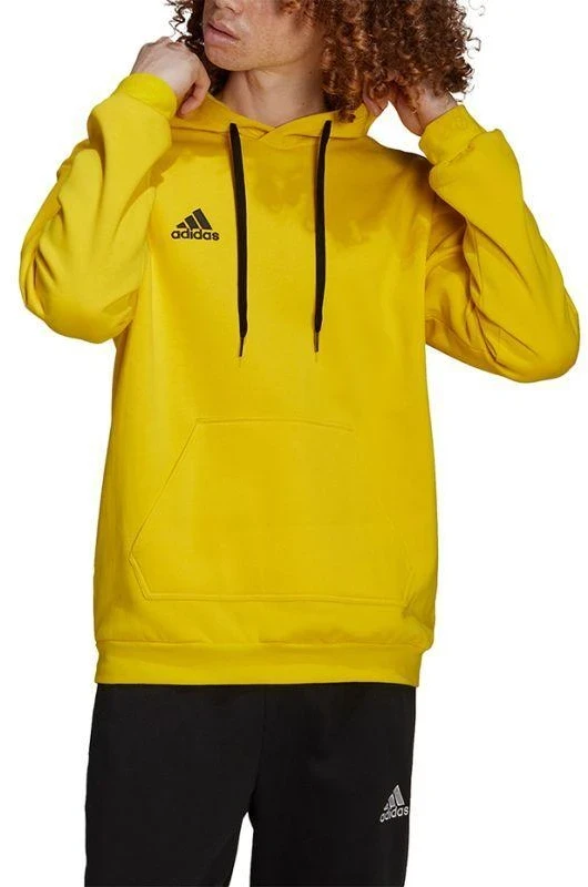 Adidas Entrada 22 Hoody M HI2140 džemperis