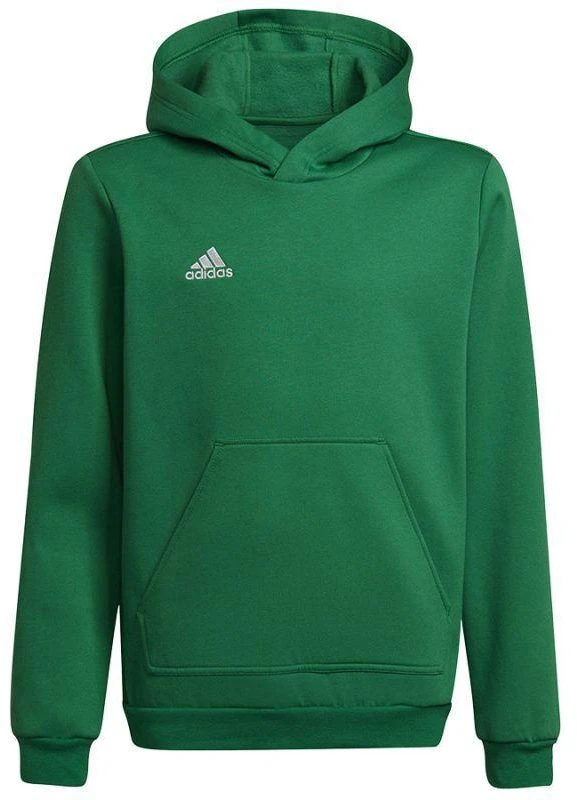 Adidas Entrada 22 Hoody Y Jr. džemperis HI2143