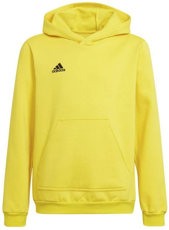 Adidas Entrada 22 Hoody Y Jr džemperis HI2142
