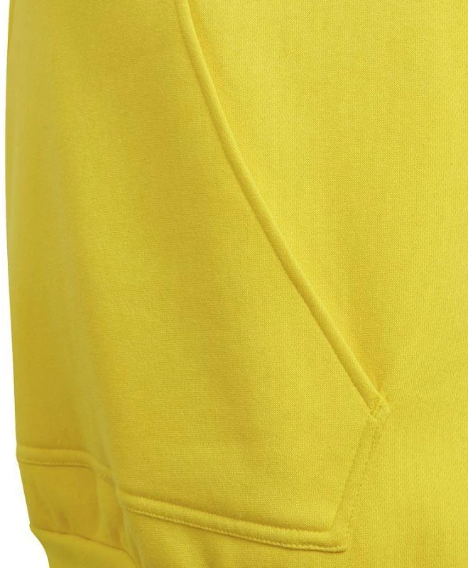 Adidas Entrada 22 Hoody Y Jr džemperis HI2142