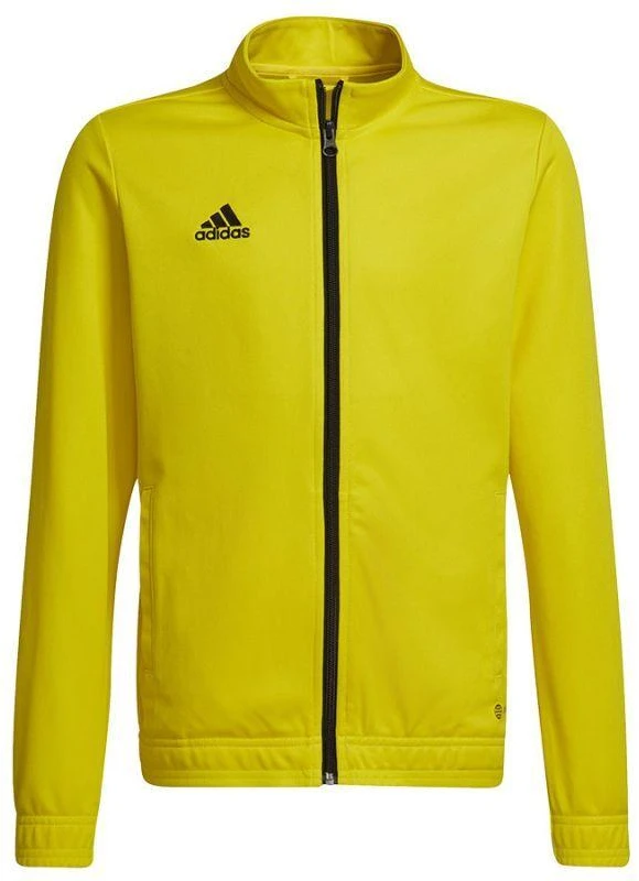 Adidas Entrada 22 jaunimo džemperis HI2139