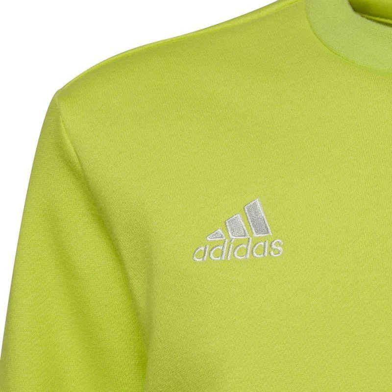 Adidas Entrada 22 Jaunių Prakaito Palaidinė HC5043