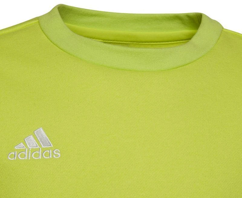 Adidas Entrada 22 Jaunių Prakaito Palaidinė HC5043