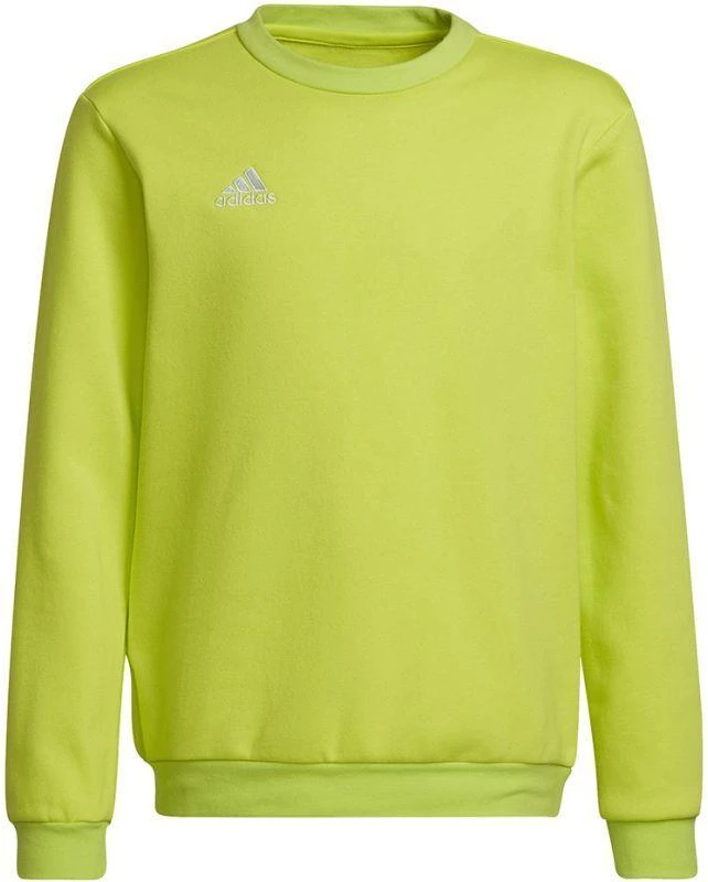Adidas Entrada 22 Jaunių Prakaito Palaidinė HC5043
