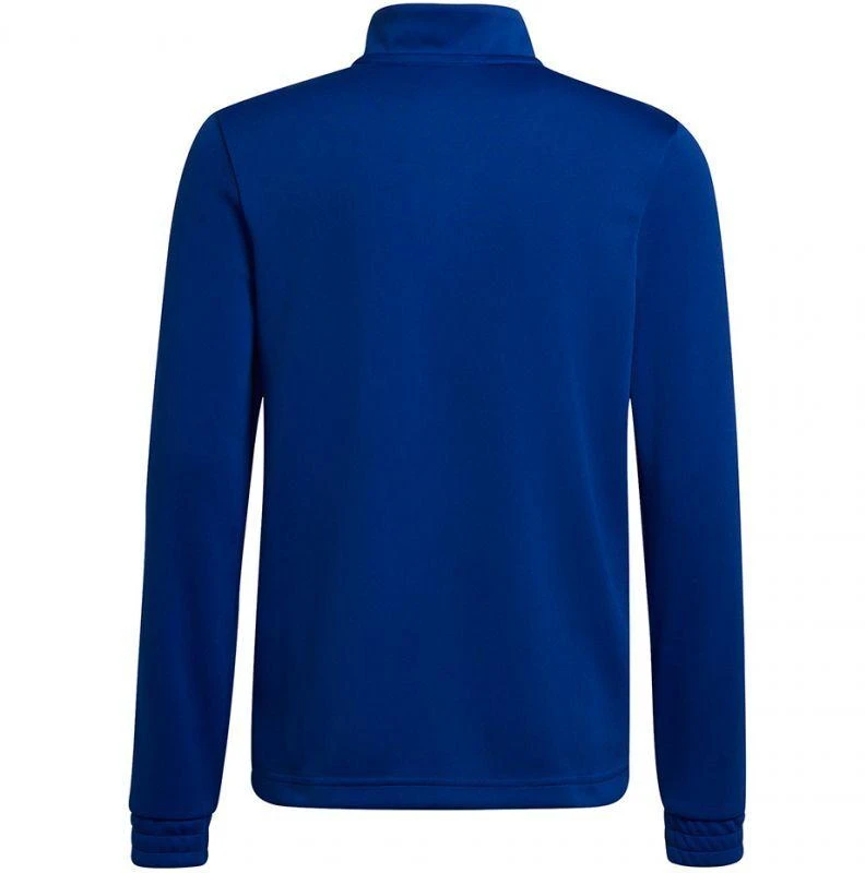Adidas Entrada 22 Jaunių treniruočių viršutinis džemperis HG6290