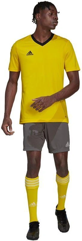 adidas Entrada 22 Jersey M HI2122