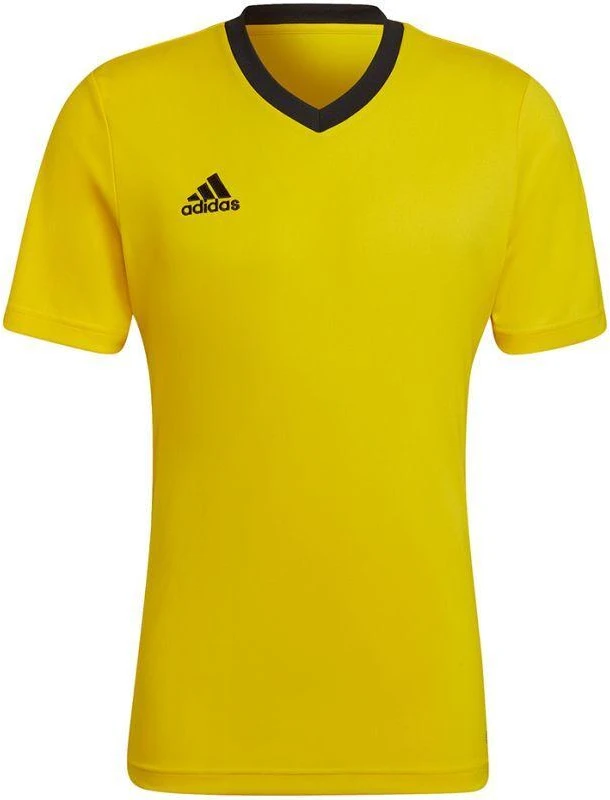 adidas Entrada 22 Jersey M HI2122
