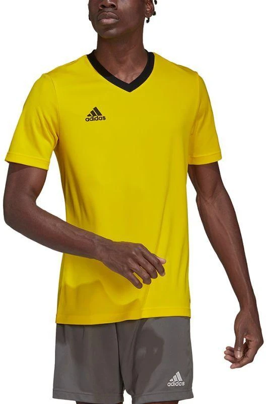 adidas Entrada 22 Jersey M HI2122
