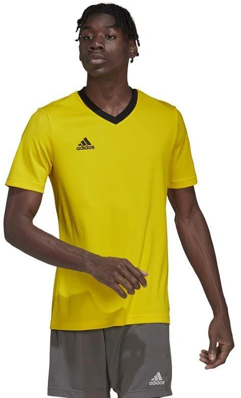 adidas Entrada 22 Jersey M HI2122