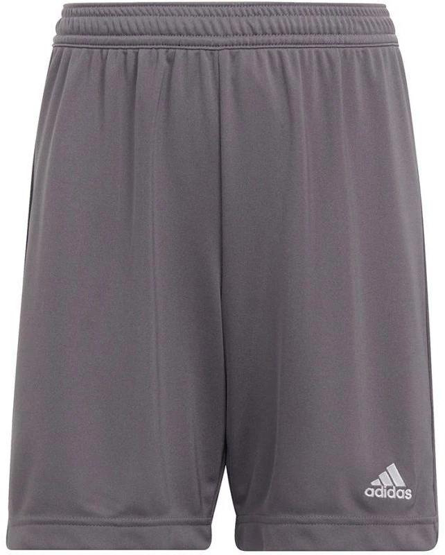 Adidas Entrada 22 Jr H57507 šortai
