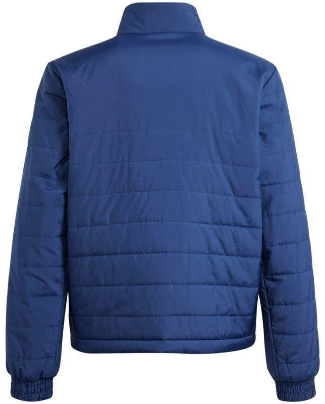 Adidas Entrada 22 Jr IB6072 striukė