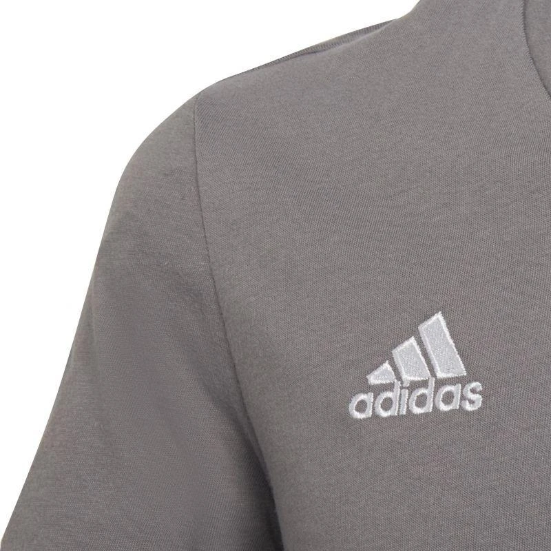 adidas Entrada 22 Jr marškinėliai HC0444