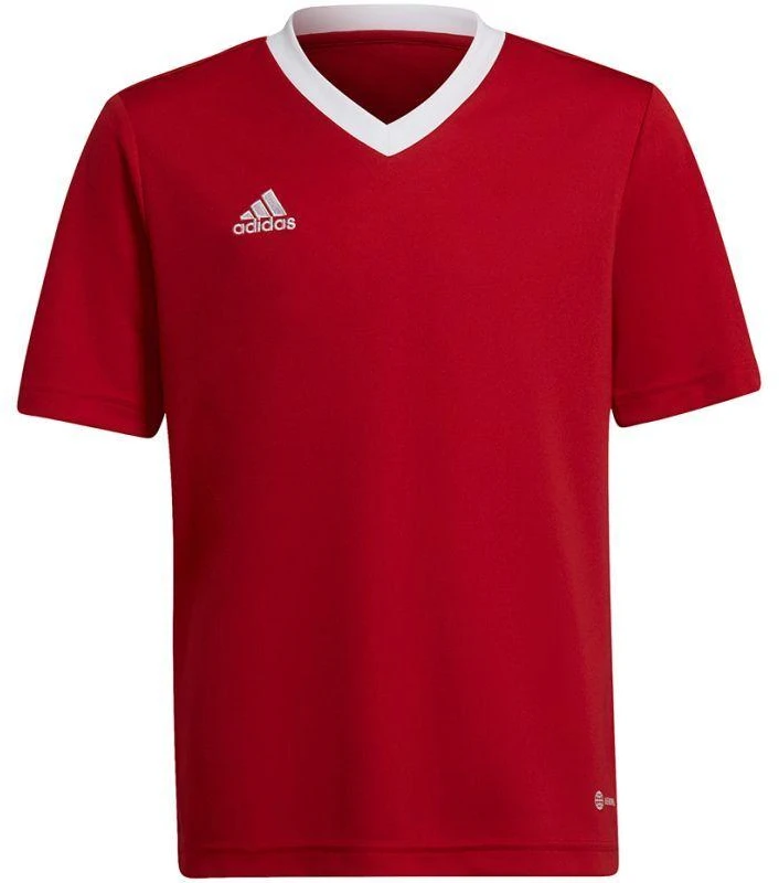 Adidas Entrada 22 Jsy Jr Marškinėliai H57496